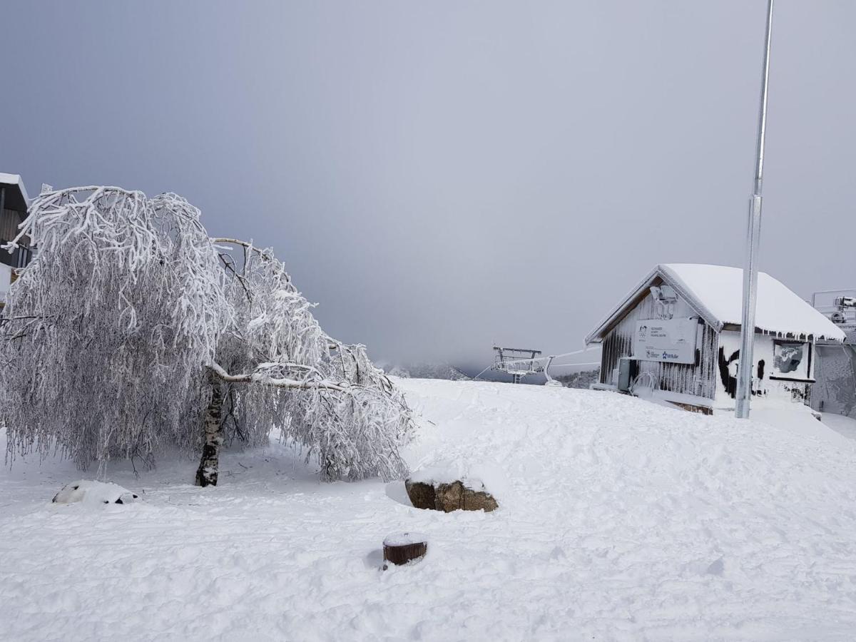 Peak 105 Daire Mount Buller Dış mekan fotoğraf
